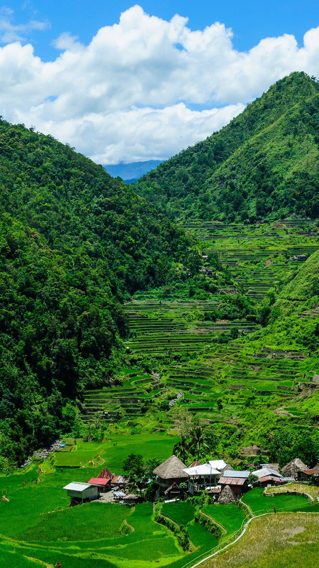 Bangaan Rice Terraces