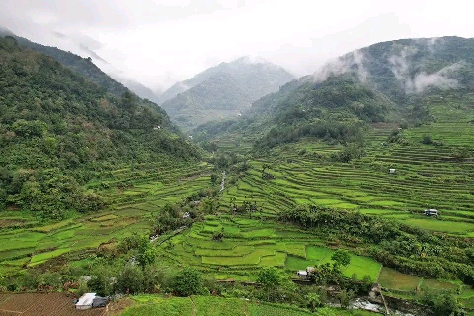 Hapao Rice Terraces