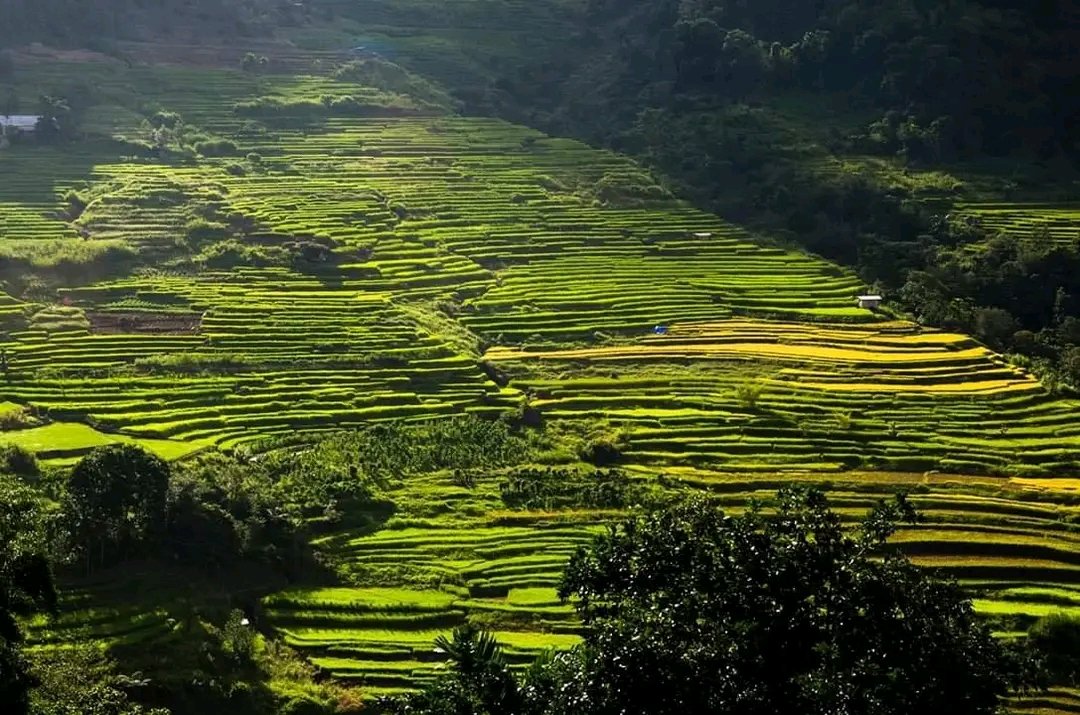 Nagacadan Rice Terraces